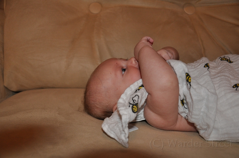 William's Tenth Week 38.jpg